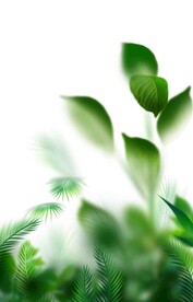 高清分层绿叶背景