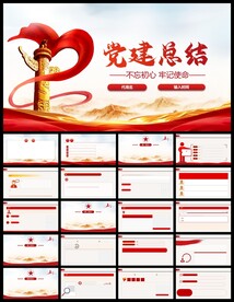 红色党支部党建党政总结PPT
