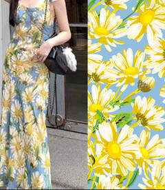 大牌向日葵太阳花