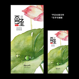 二十四节气夏至