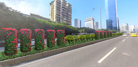 市政道路中分隔离带绿化