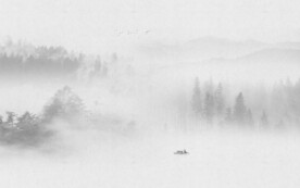 森林意境水墨画背景墙