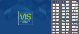 企业VIS使用手册