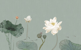 新中式手绘水墨荷花背景墙