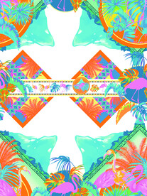 大牌热带火烈鸟