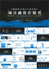 创业项目融资商业计划书ppt