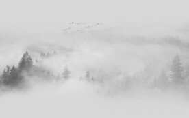 新中式森林水墨山水背景墙