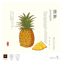 菠萝 插画