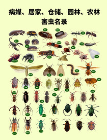 高清害虫免抠元素（名册）