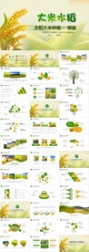 水稻农田绿洲大米PPT模板农业
