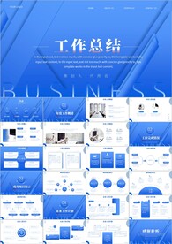 商务项目工作总结ppt