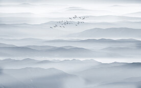 中式禅意水墨山水画背景墙