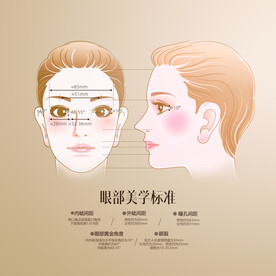 眼部美学标准