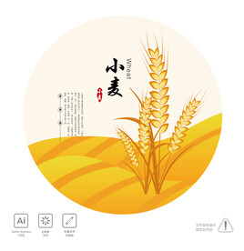 小麦 插画