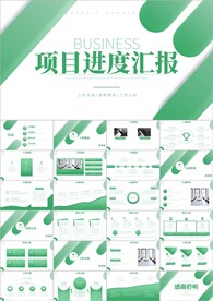 项目进度汇报介绍ppt