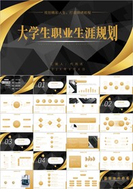 职业生涯规划PPT