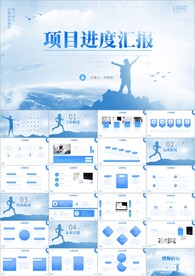 项目进度汇报工作ppt