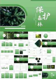 森林小苗生长环保植树造林ppt