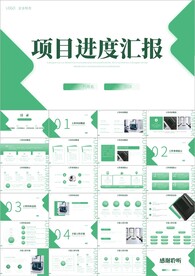 项目进度汇报介绍工作总结PPT