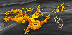 龙金龙飞龙