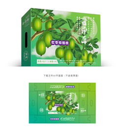 软枣猕猴桃包装