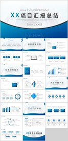 项目汇报总结PPT