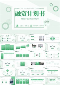 项目融资商业计划书ppt