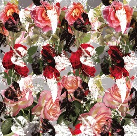 大牌花  玫瑰花   手绘花 