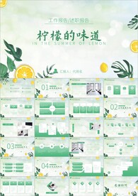 夏日风情工作总结ppt