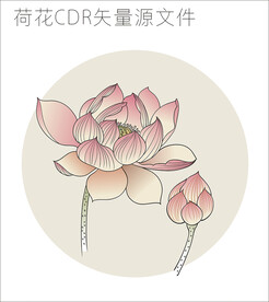 荷花 cdr