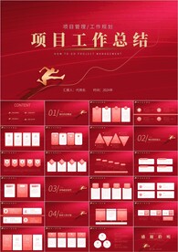 项目工作总结计划ppt