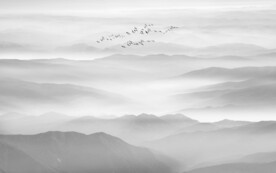 新中式禅意山水画