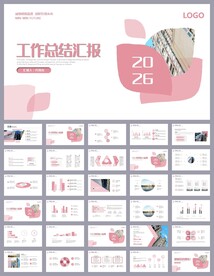 项目工作汇报工作总结ppt