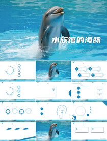 蓝色大气水族馆的海豚动态PPT