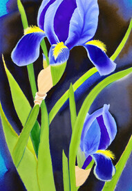 蓝色鸢尾花水彩画