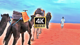 沙漠中行驶的驼队