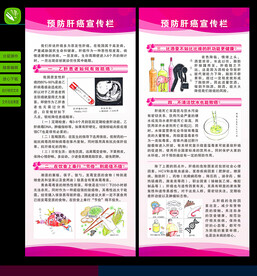 预防肝癌展架