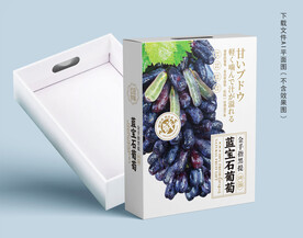 金手指黑提包装