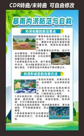 暴雨预防
