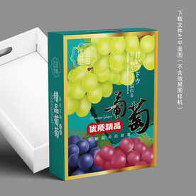 精品葡萄包装