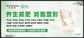 瘦身减肥养生塑形减脂 