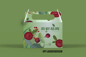 杨梅礼盒 平面图