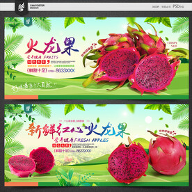 火龙果海报