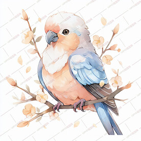 水彩画树枝上的鸟