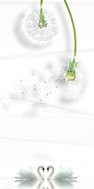 大气 现代欧式玄关 TIF分层