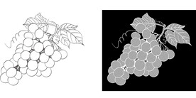 葡萄逆向纹路设计