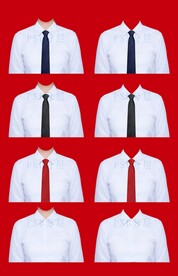 女衬衫psd 证件照衣服素材