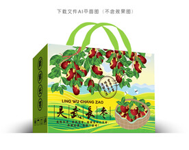 灵武红枣包装
