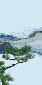 新款 高清人气玄关 TIf分层