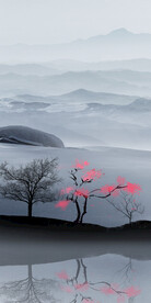 淡雅 现代人气玄关 TIf分层